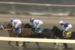 5 Ways to enhance your Parx Racing experience